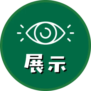 展示